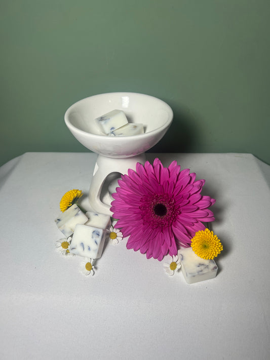 Rock Salt & Driftwood Luxury Wax Melts